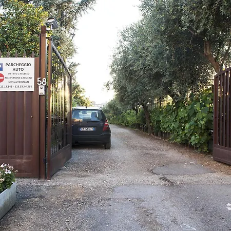 Bed and Breakfast Domus Casaletto