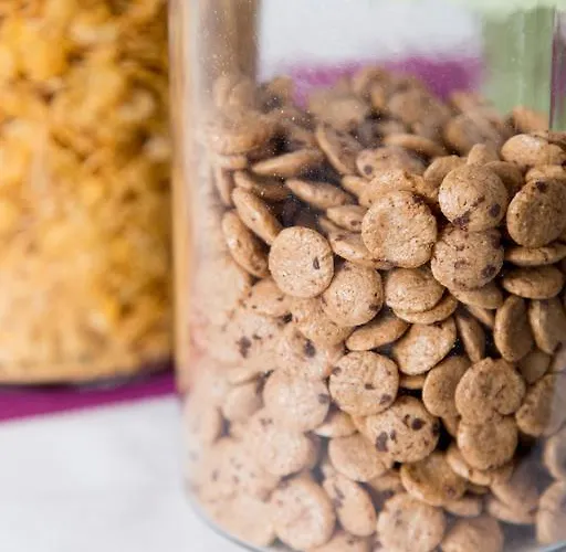 Bed & Breakfast Domus Casaletto Roma